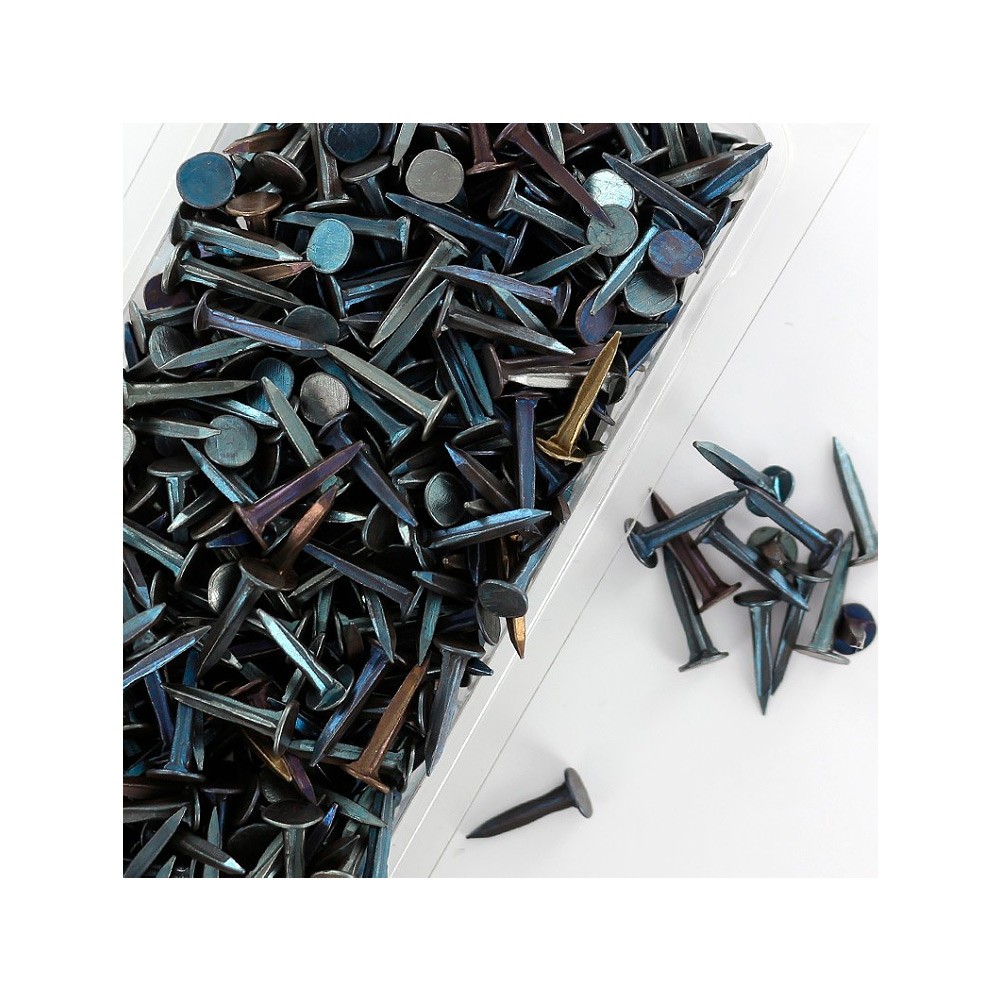 semilla-zapatero-no08cebexgr-2206